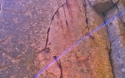 Metamorfosis, la línea perfecta